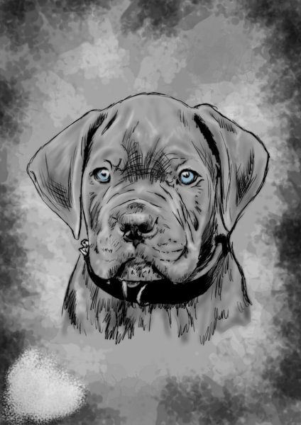 Carne Corso pup digitale tekening van Jos Laarhuis