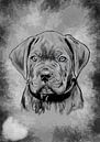 Carne Corso pup digitale tekening van Jos Laarhuis thumbnail