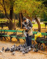 Bucharest, Romania's vibrant capital, surprises with a mix of ancient charm and modern dynamism.