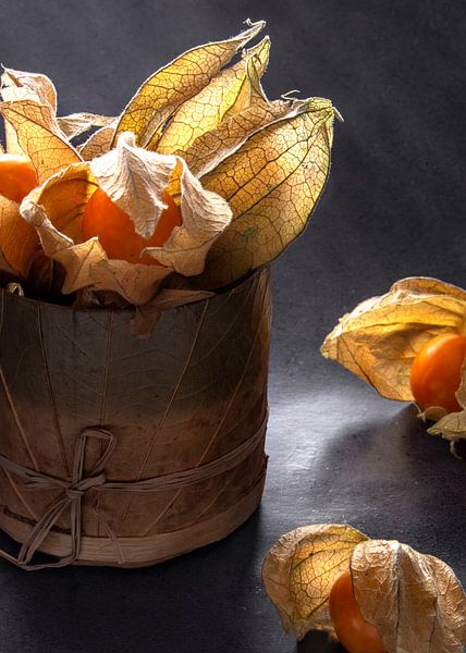 Physalis van Alex Neumayer