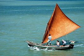 Voilier n° 1 sur Adriano Oliveira