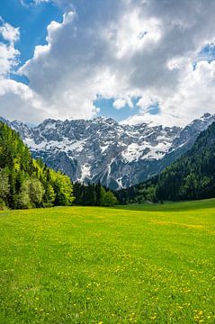 Blick auf ein Alpental im Frühling in den Alpen