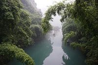 Sailing through the bamboo forest