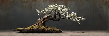 Bonsai mit weißen Mandelblüten Stilleben-Panorama von Digitale Schilderijen