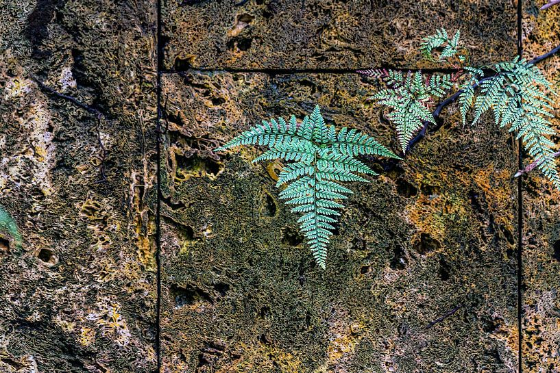 Alte Wand von Thomas Heitz