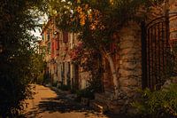 Flower avenue