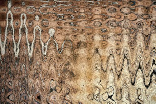DeviDive II van GOOR abstracten