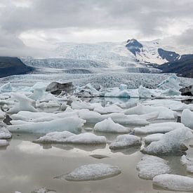 Fjallsárlón mit Eisschollen in Island von Linda Schouw