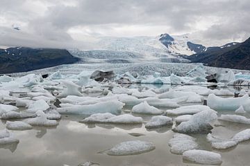 Fjallsárlón met ijsschotsen in IJsland van Linda Schouw