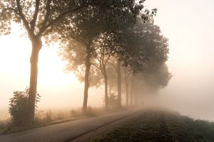Une forme dans la brume