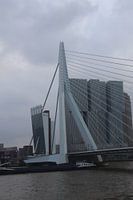 Erasmus-Brücke Rotterdam