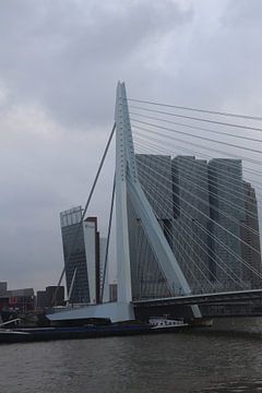 Erasmusbrug Rotterdam van Dick Schouten