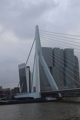Erasmusbrug Rotterdam