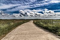 Texel
