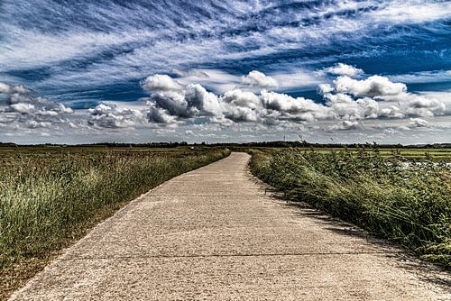 Texel