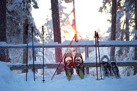 Schneeschuhe von Menno Boermans