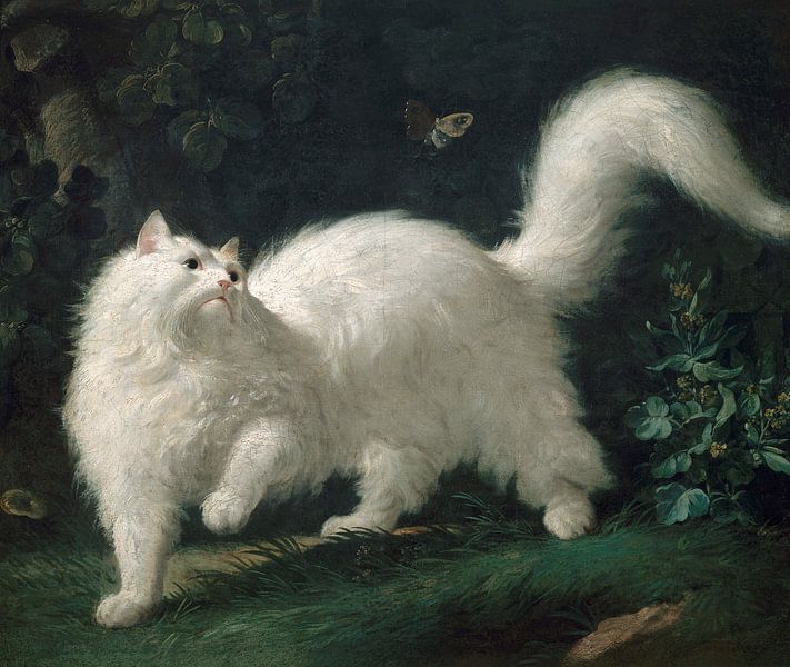 Jean-Jacques Bachelier~White Angora cat on the hunt for a Butterfly by finemasterpiece