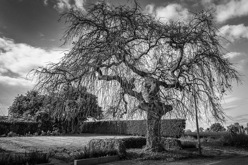 The ravages of time by Rob Boon