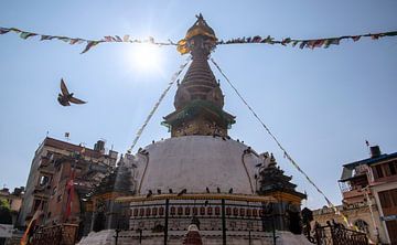 Boeddhistische stupa in Kathmandu. van Floyd Angenent