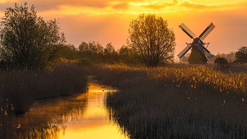 Zonsopkomst bij de Noordermolen