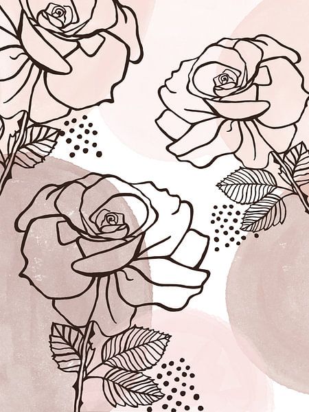 Dessin de la ligne des roses par Geertje Burgers