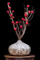 Still life with Japanese dogwood
