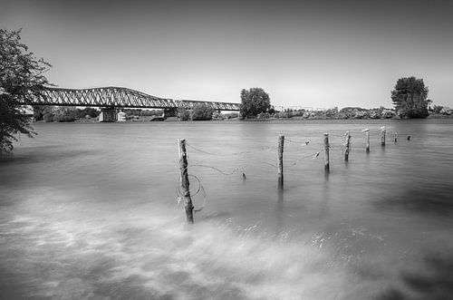 The Maas near Den Bosch