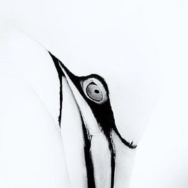 Marvel von Richard Kalkman fotografie