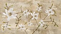magnolia branch
