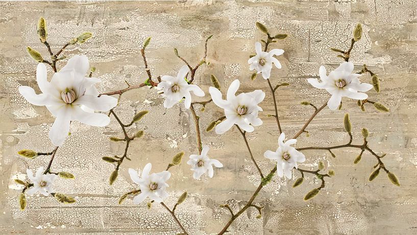 branche de magnolia par Klaartje Majoor