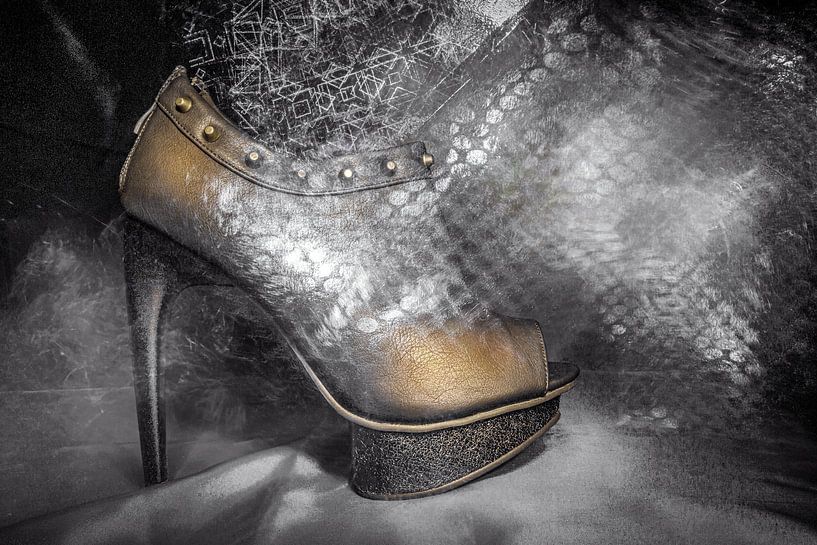 Goldener Schuh von Marijke de Leeuw - Gabriëlse
