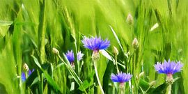 Cornfield - Scale 1:2 by Andreas Wemmje