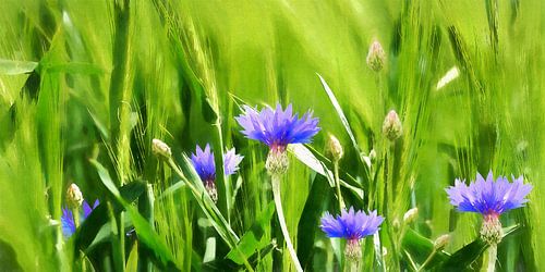 Korenveld - Schaal 1:2