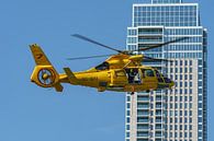 Airbus Helicopters AS365N3 Dauphin 2 (OO-NHV). van Jaap van den Berg thumbnail