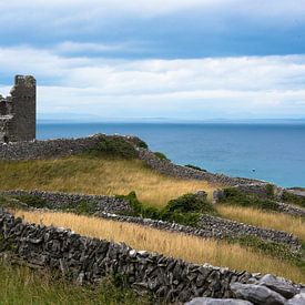 Schloss in Irland von Fred Lenting