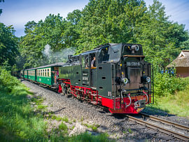 Insel Rügen - Dampflokomotive Rasender Roland von Thomas Bugdoll