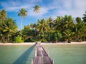 Beach of tropical paradise Ko Kut by Teun Janssen thumbnail