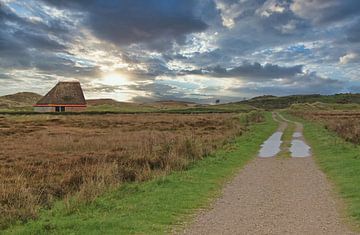 Schapenboet met wandelpad. van Jose Lok