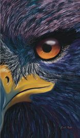 Wildlife | Bird of prey by Ceciel Maakt