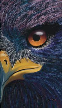 Wild | Raubvogel