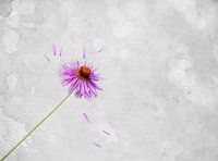 Movement