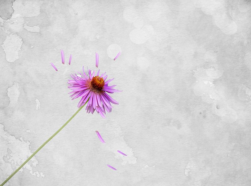 Movement by Anne Seltmann