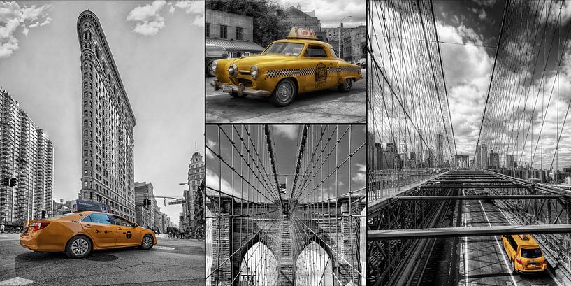 New York Taxi van Carina Buchspies