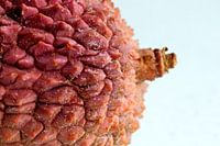 Macro van een lychee