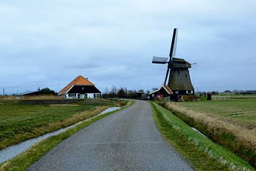 Landschaft der Bauern, PettemerpolderNordholland von Jeroen van Esseveldt