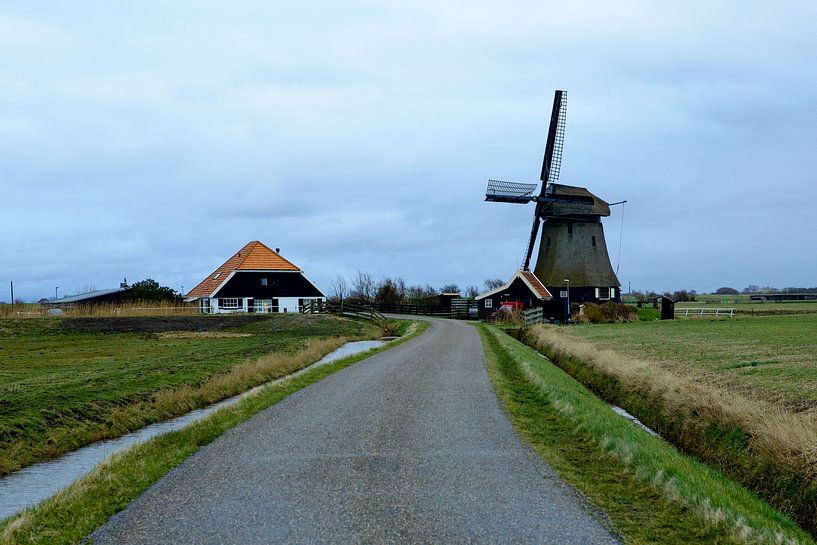 Paysage de fermiers, PettemerpolderNorth-Holland par Jeroen van Esseveldt