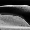 Zandduin in zwart-wit met schaduw | Iran van Photolovers reisfotografie