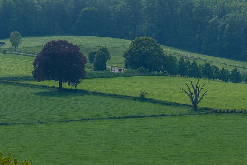 Limburg4 von René Roos