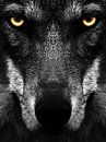 Black Wolf by Sascha Hahn thumbnail