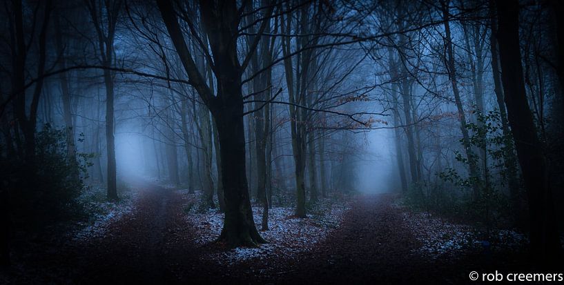 De keuze... by rob creemers